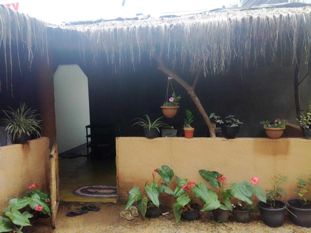 Cozy Homestay Ella Ngoại thất bức ảnh
